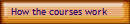 How the courses work